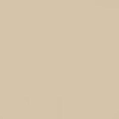 12"x5'- Dark Beige - Matte Oracal 631 Exhibition CAL Vinyl Roll Adhesive Vinyl