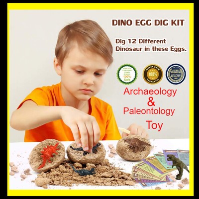 Dinosaur Eggs Dig Kit toy for kids boys girls age 6 7 8 9 10 11 12 years old