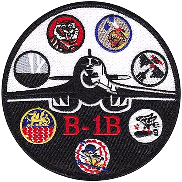 USAF B-1B LANCER -STEALTH BOMBER -AFGSC- ORIGINAL VEL GAGGLE