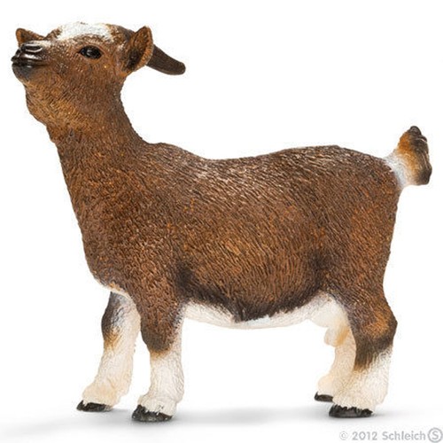 GOATさま NEW SCHLEICH 13715 Dwarf Goat - Farm Animal Model - RETIRED | eBay UK
