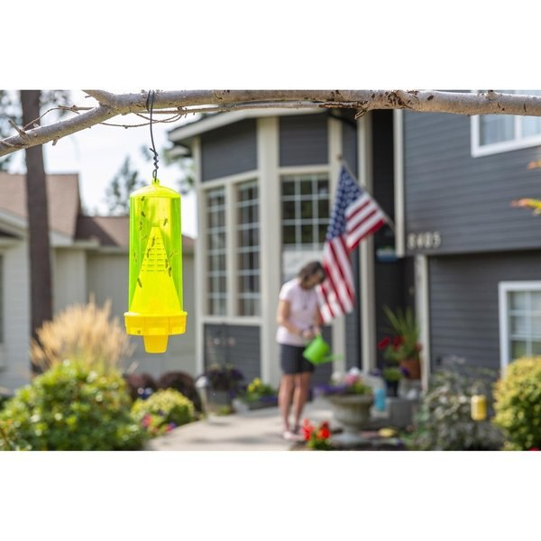 RESCUE YJTR Reusable Yellowjacket Trap - 2 PACK