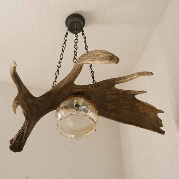 große wunderschöne Geweih ELCH Geweihlampe, Deckenlampe - 1 flammig