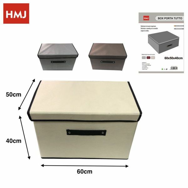 Box Scatola Salvaspazio Portatutto Vestiti Armadio Organizer 60x50x40cm hmj
