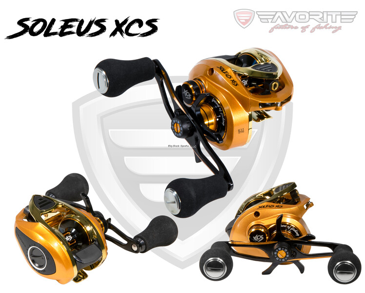 Favorite SLSG7XR Soleus XCS casting reel, Gold/Gold 7.3:1 RH 10+1