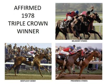 AFFIRMED 1978 Kentucky Derby Champion Triple Crown Horse Racing 8