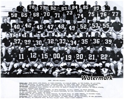 1966 AFL NFL Oakland Raiders Black & White Team Picture with Names 8 X 10 Photo 
