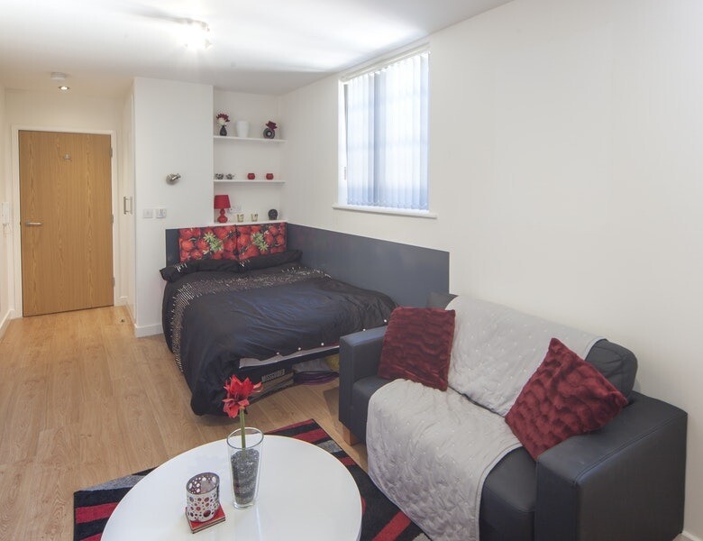 STUDENT ROOM TO RENT IN LEICESTER. 2,3,4,5 BED CLUSTER AND STUDIO