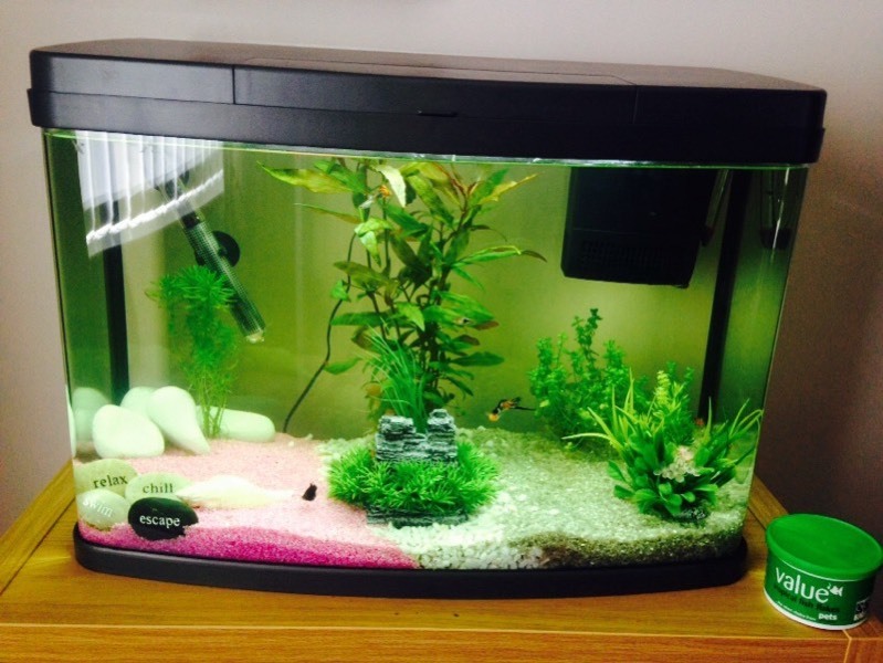 64 Litre Panoramic Fish Tank in Dunfermline, Fife Gumtree