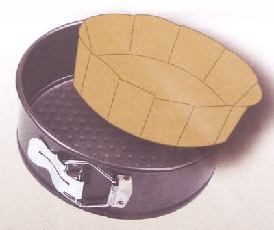 BACKPAPIER ZUSCHNITTE RUND für SPRINGFORM Ø 26-28 cm 10 BLATT Antihaft 