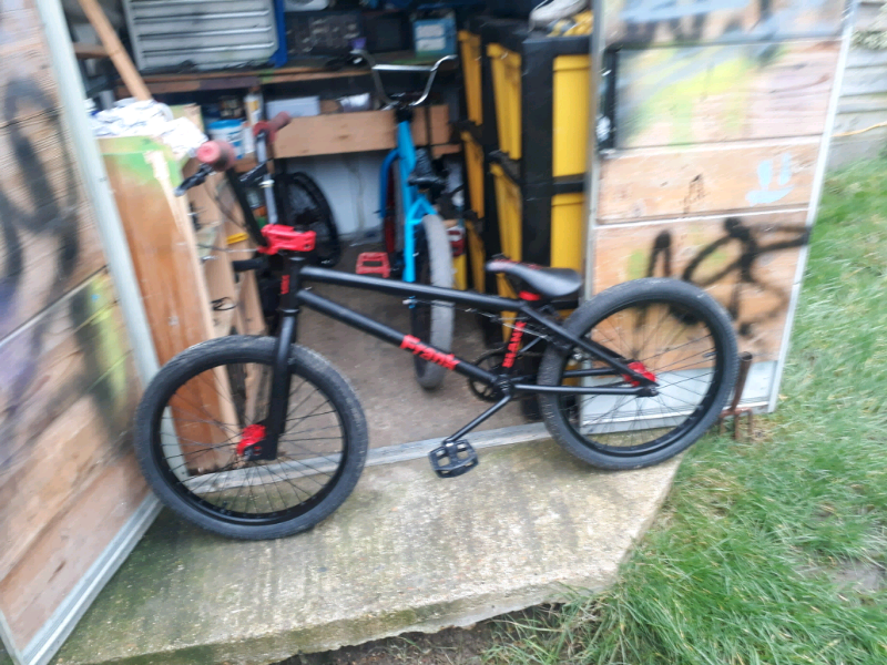 Blank Frank Bmx 2024 jasterluis