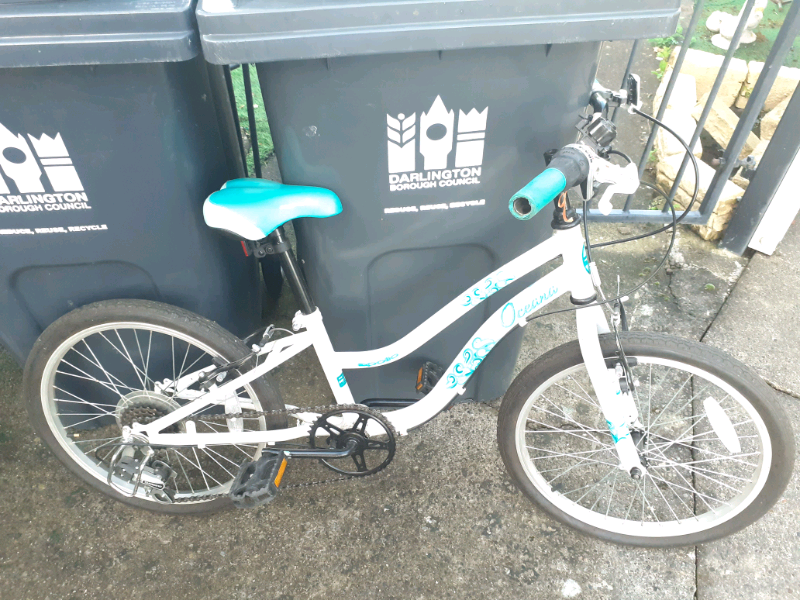 oceana apollo bike Cinosural International School