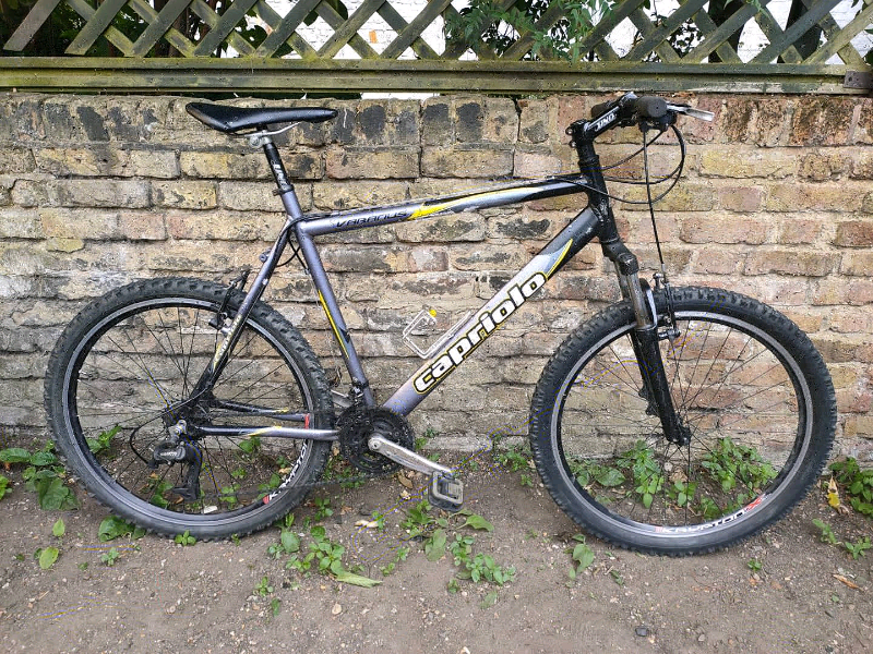 Fat bike capriolo hotsell