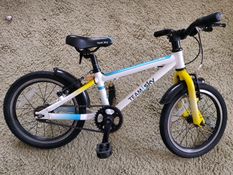 Frog bike 48 team sky store