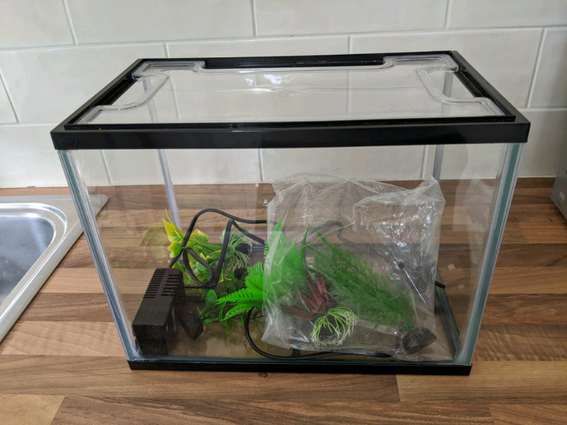 Pets at home starter fish tank online