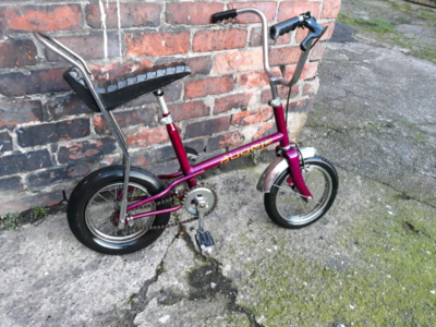 Raleigh budgie discount for sale