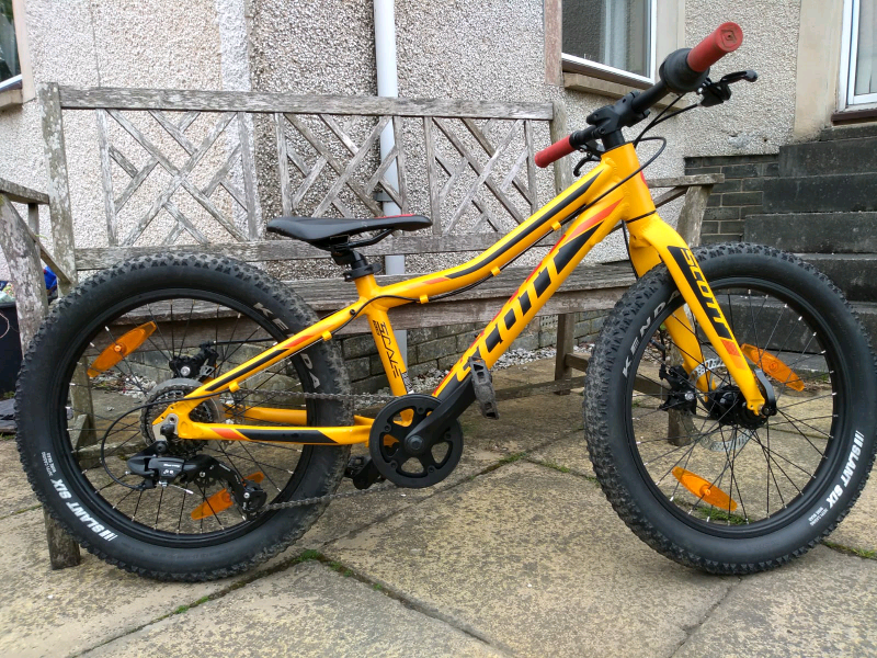 Scott scale 20 plus shop