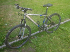 trek 3900