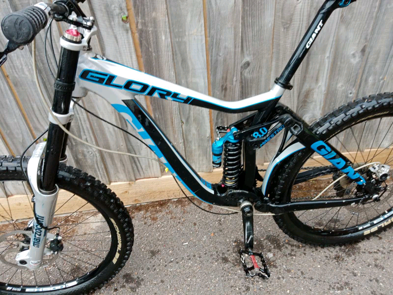 Giant glory gumtree clearance