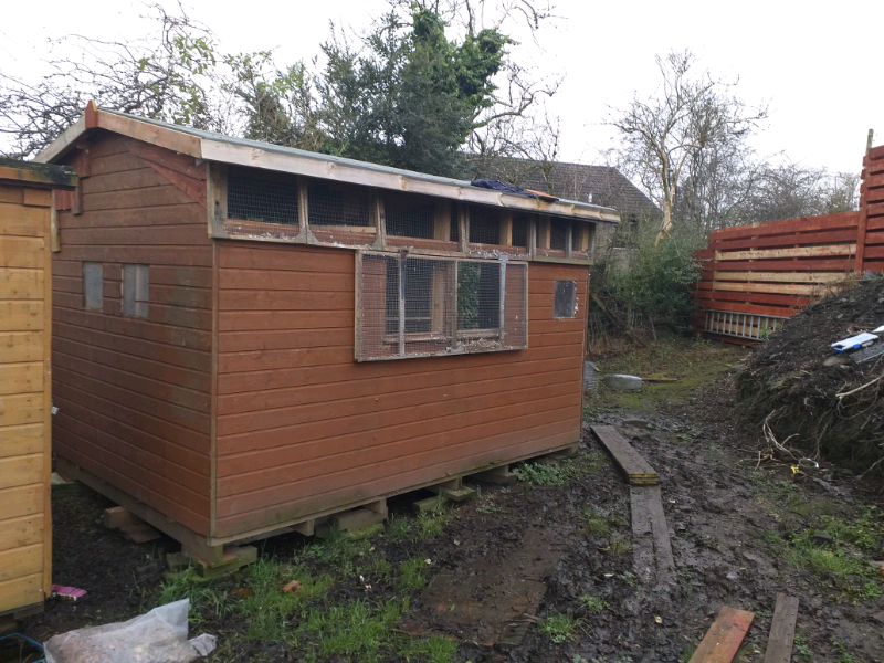 Shed free in Falkirk Gumtree