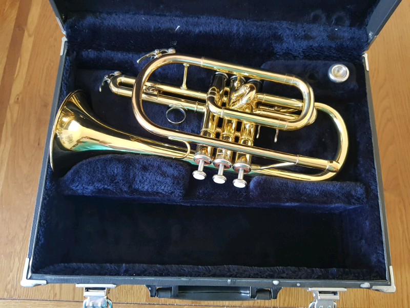 yamaha ycr 2330 (173) in BurtononTrent, Staffordshire Gumtree