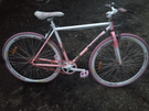 FIXIE PINK/WHITE (MEDIUM SIZED) 