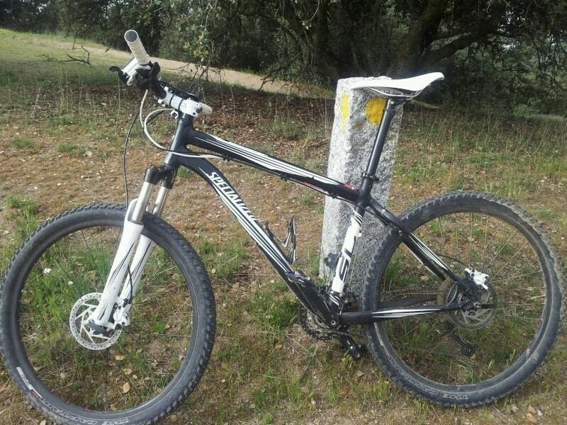 trek rockhopper