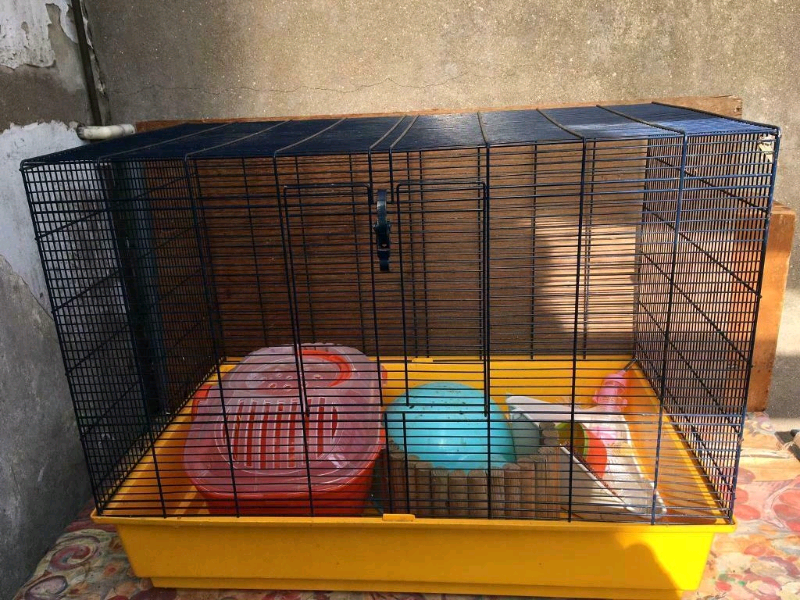 Rodent / rat cage for sale in Bristol Gumtree