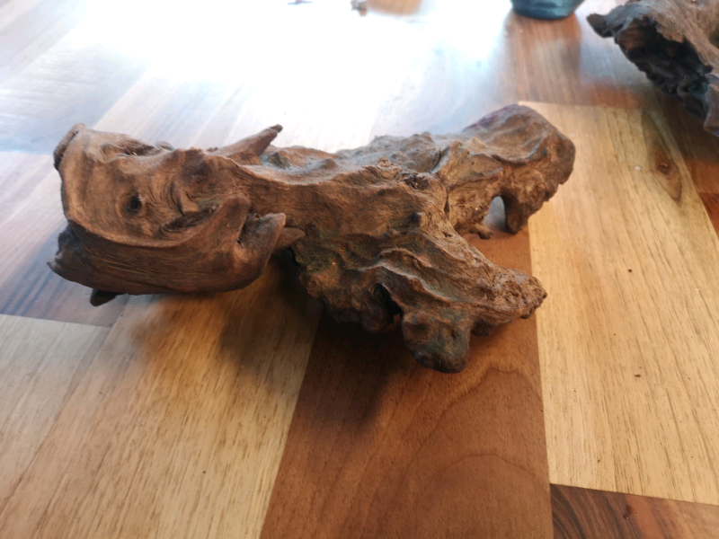Aquarium Bogwood for sale in UK View 24 bargains
