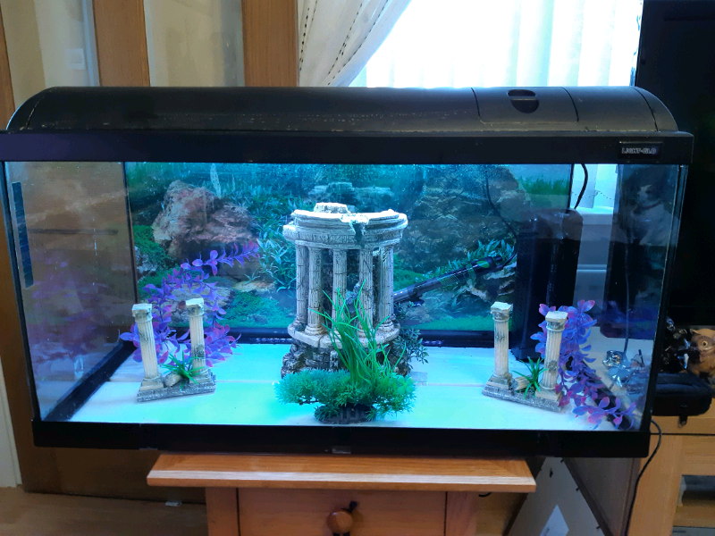 Fish tank full tropical set up (sorry now sold) in Sunderland, Tyne