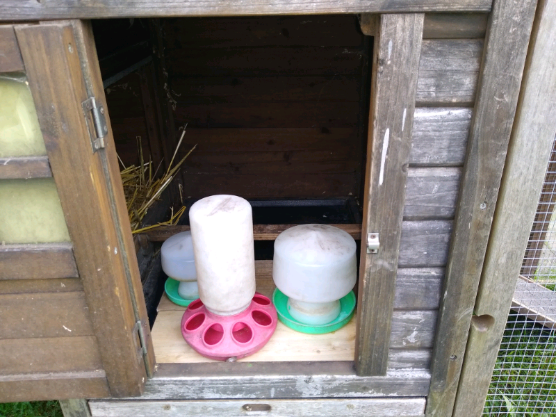 Chicken Pens for sale in UK 71 used Chicken Pens