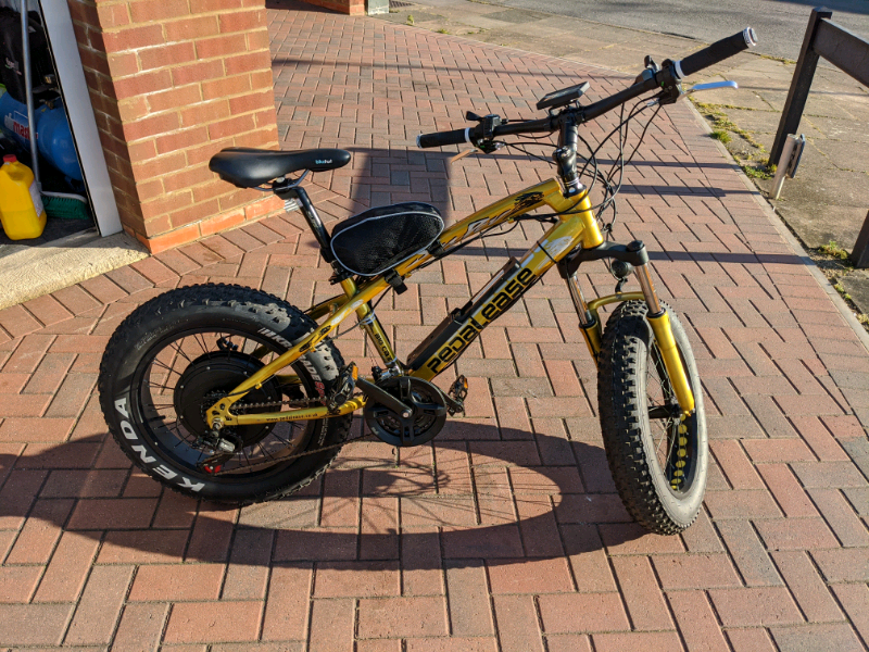 mens ebike