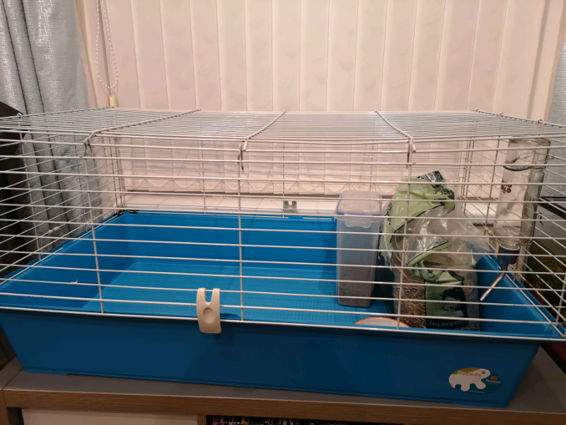Guinea Pig Cage and accessories in Southampton