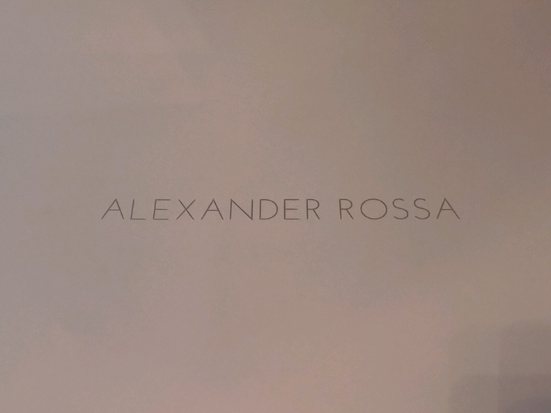 Alexander Rossa Brand New Wedding Dress 10 In Hull East