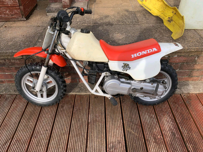 Honda Qr50 for sale in UK 55 secondhand Honda Qr50