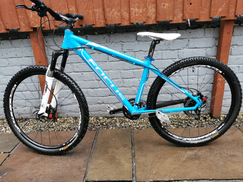 where to buy focus bikes