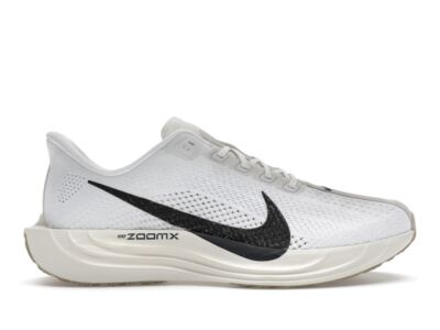 ◆正規品◆NIKE PEGASUS PLUS OATMEAL ANTHRACITE◆関税込◆人気 AURORA_FQ7262-002_PHSRH000-