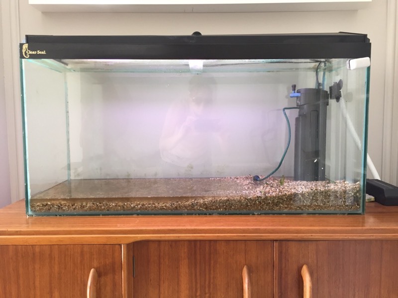 3ft Clear Seal Fish Tank water tight with Fluval 4 filter in Stapleford, Nottinghamshire