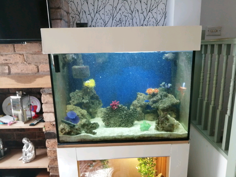 3x2x2 fish tank no stand in StokeonTrent, Staffordshire Gumtree