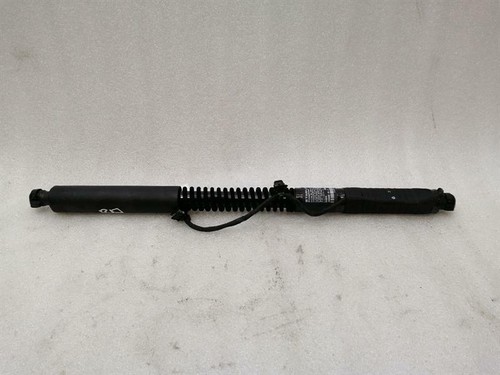 TESLA MODEL X 75D Rear Falcon Door Strut 1063441-00-C Federbein Hinten Tur