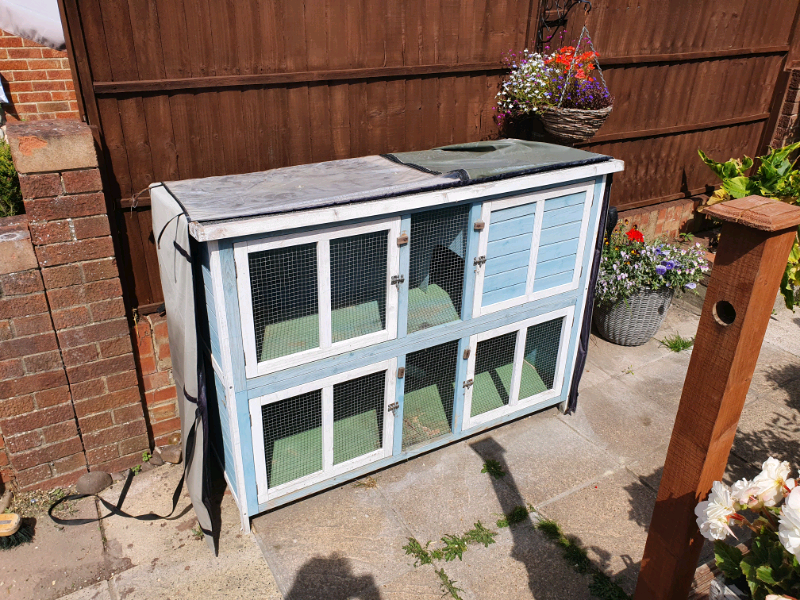 Pets at Home Bluebell rabbit/guinea pig hutch with rain cover in