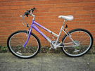 Ladies mountains bike