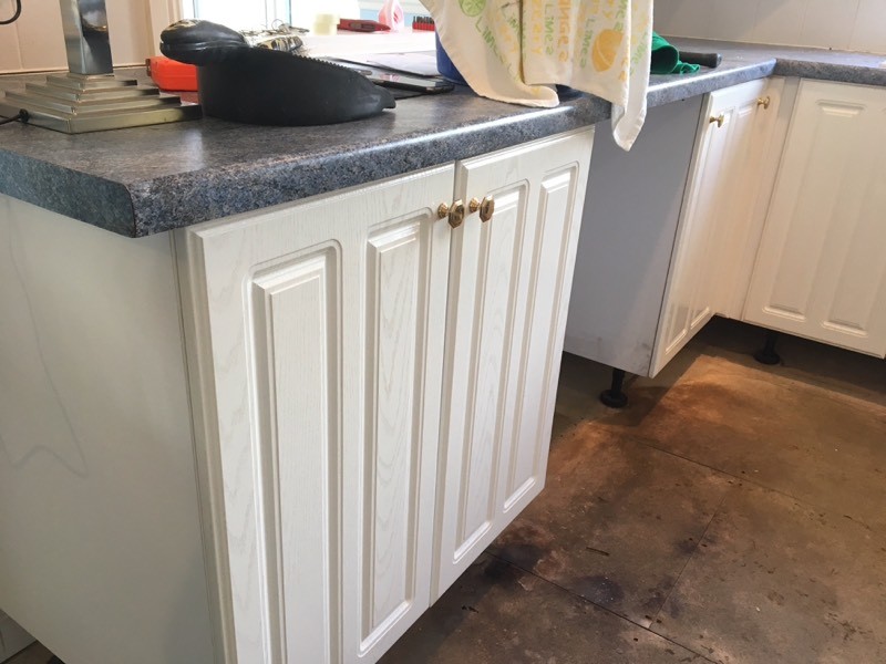 FREE to good home | in Seaton, Devon | Gumtree