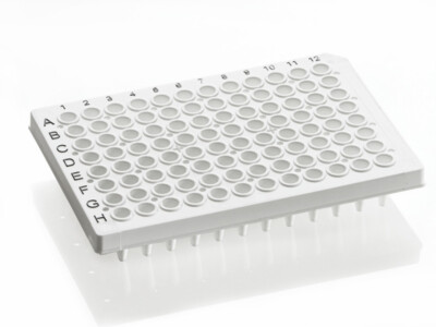 Extragene PCR Plate 96-Well White, Half Skirt DNase and RNase free 10 plate/Pck