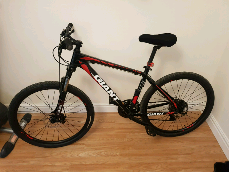 ribble endurance weight