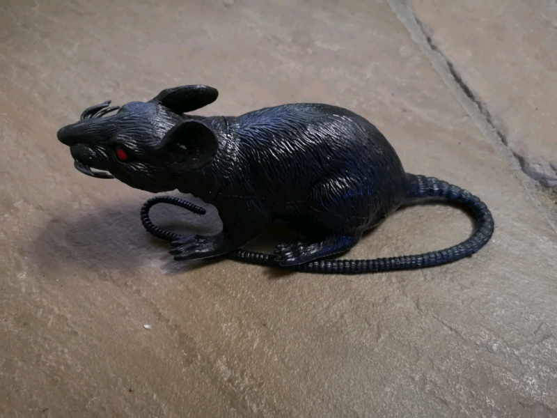 Plastic Rats Toys for sale in UK 60 used Plastic Rats Toys