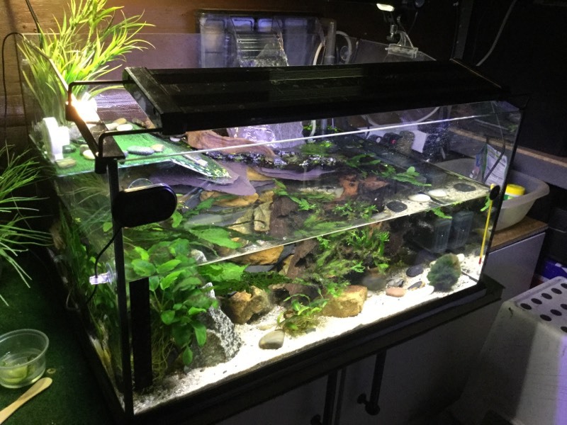 Complete Fish/Turtle Tank Aquarium Set Up in Morley, West Yorkshire