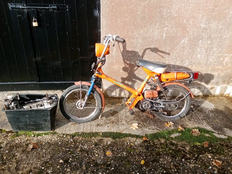 honda express 50cc for sale