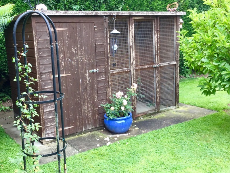 Dog Kennel/Aviary/Chicken Shed in Kidderminster, Worcestershire Gumtree