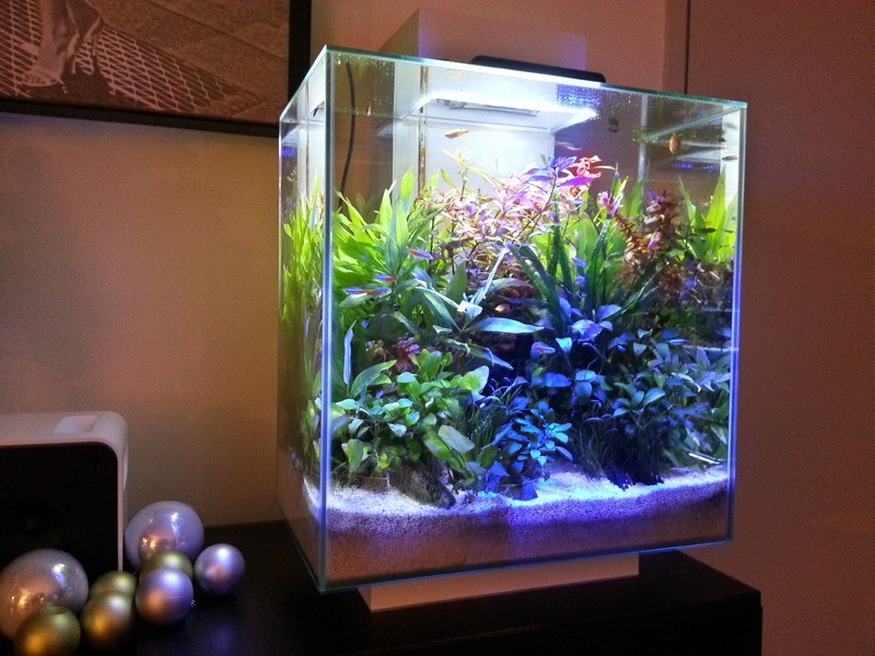 FLUVAL Edge 46L Fish Tank in Swansea Gumtree