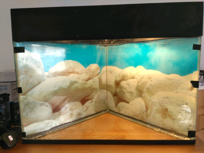 Triangle Fish Tank in Irthlingborough, Northamptonshire Gumtree